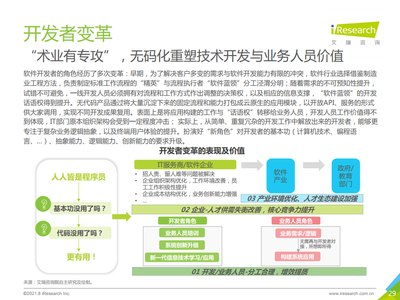 2021年中国企业级无代码白皮书 计算机信息技术咨询服务的新篇章